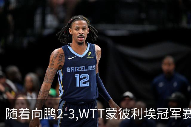随着向鹏2-3,WTT蒙彼利埃冠军赛男单16强已出15席：仅3名国乒选手